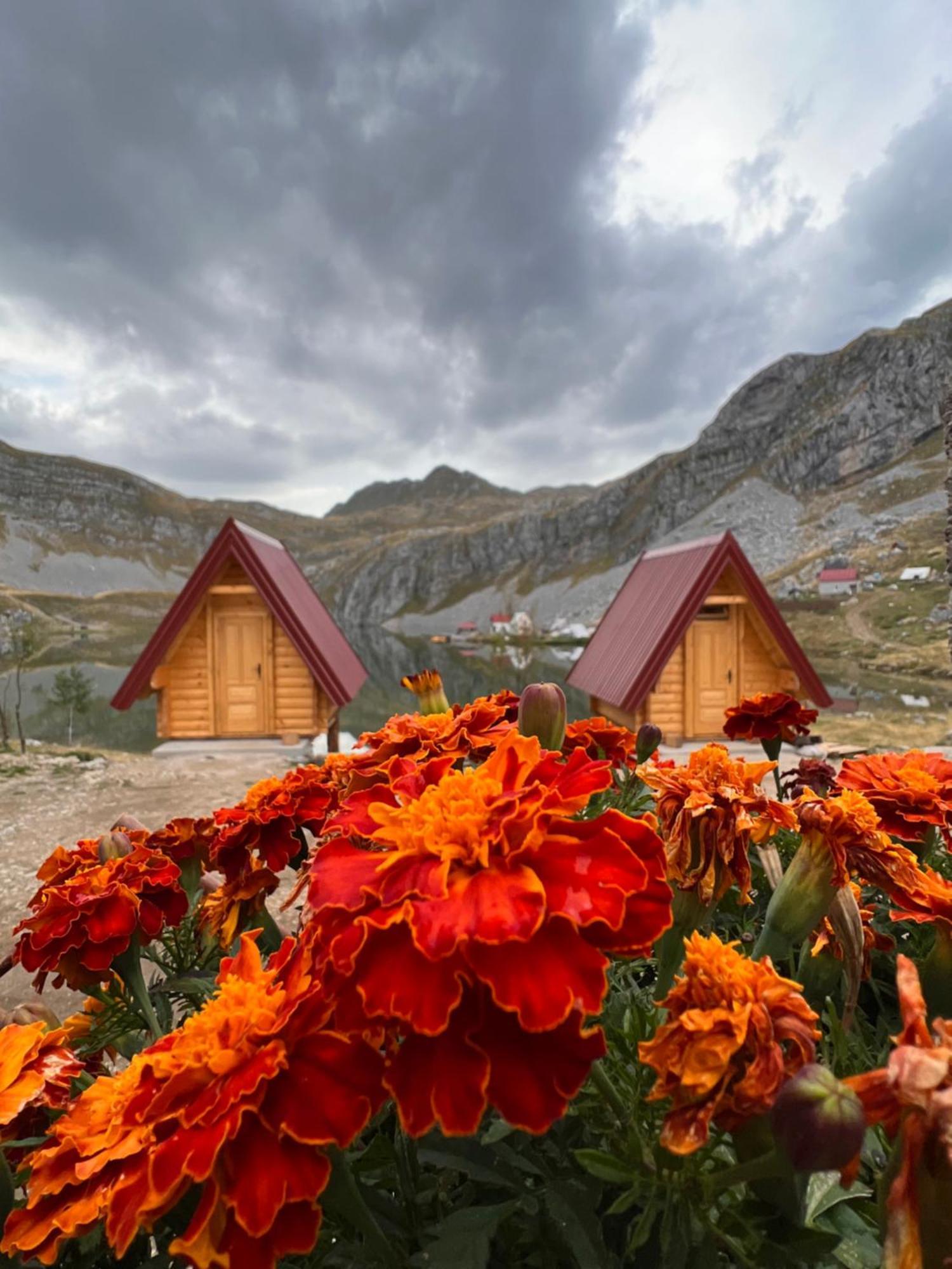 Rural Household Minic - Kapetanovo Jezero Hostel Kolašin Екстериор снимка
