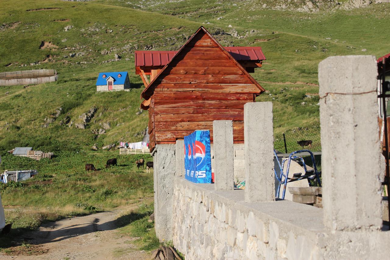Rural Household Minic - Kapetanovo Jezero Hostel Kolašin Екстериор снимка